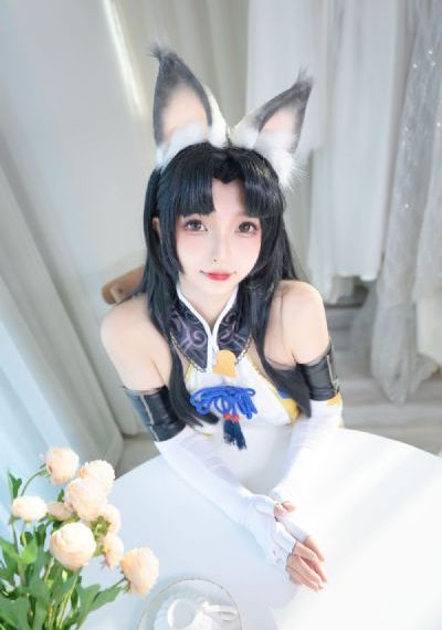 猫狗大战1在线国语免费观看_BD在线观看完整版