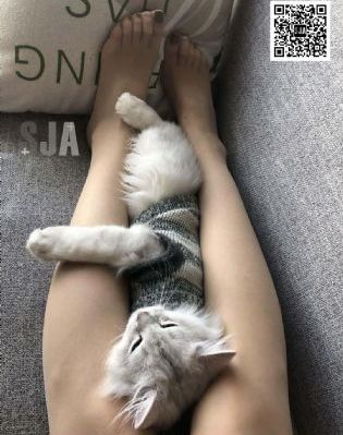 欧美视频99_HD日韩电影在线
