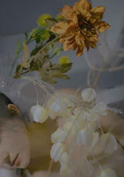 不愉快的果实完整免费观看_全集电影手机在线观看